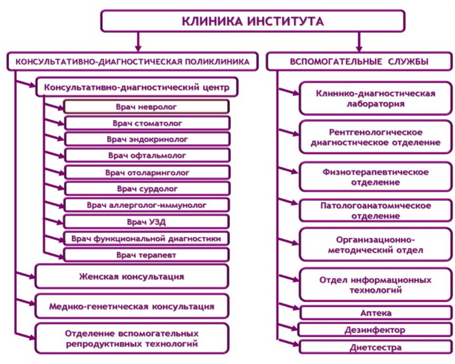 Структура женской консультации схема